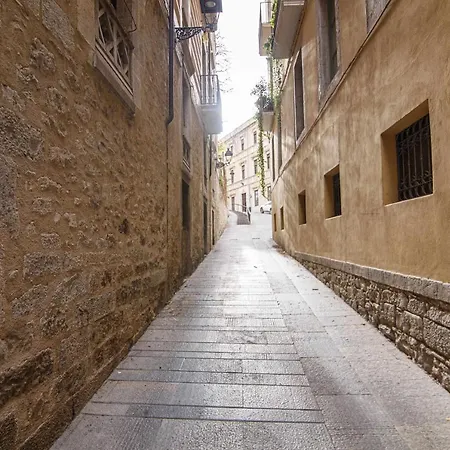 Tr Auriga En El Barri Vell, * Girona